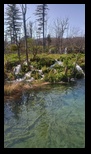Plitvice -12-04-2025 - Bogdan Balaban